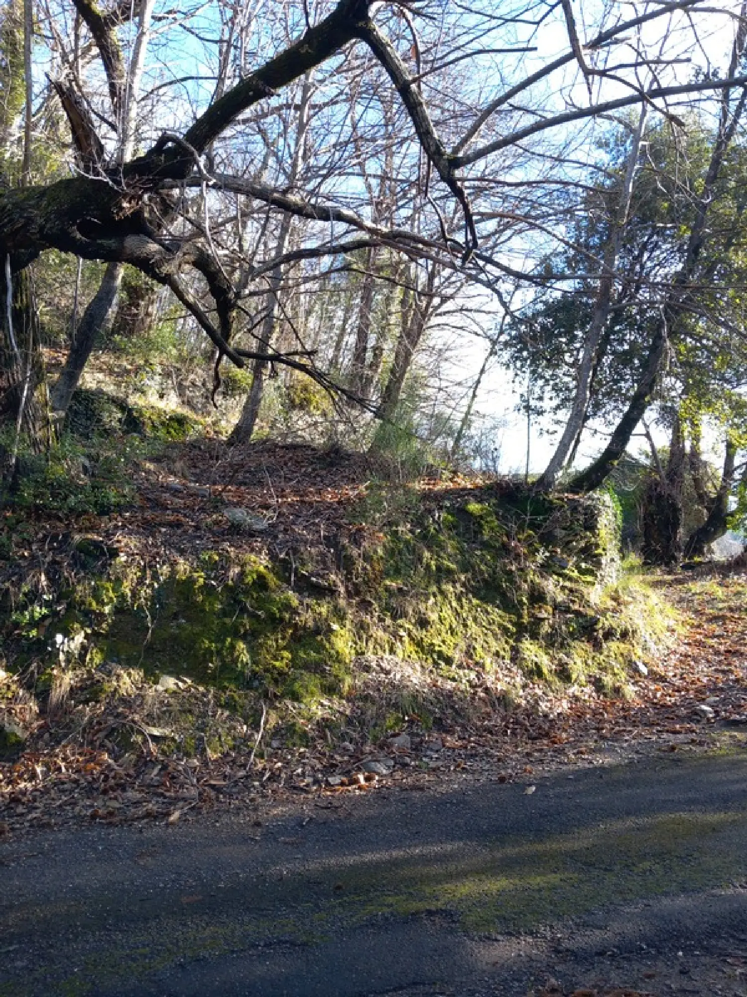  à vendre terrain Saint-Étienne-Vallée-Française Lozère 5