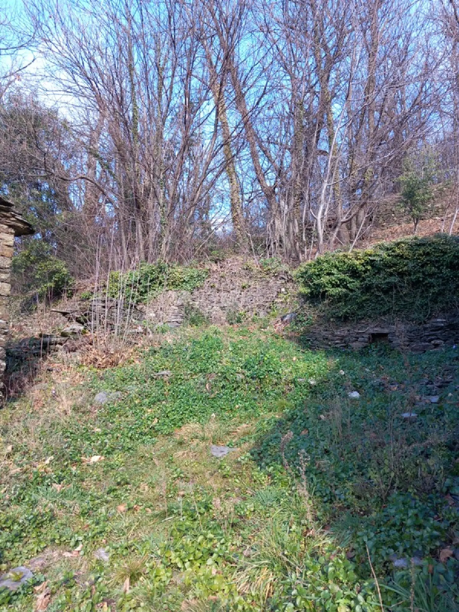  à vendre terrain Saint-Étienne-Vallée-Française Lozère 6