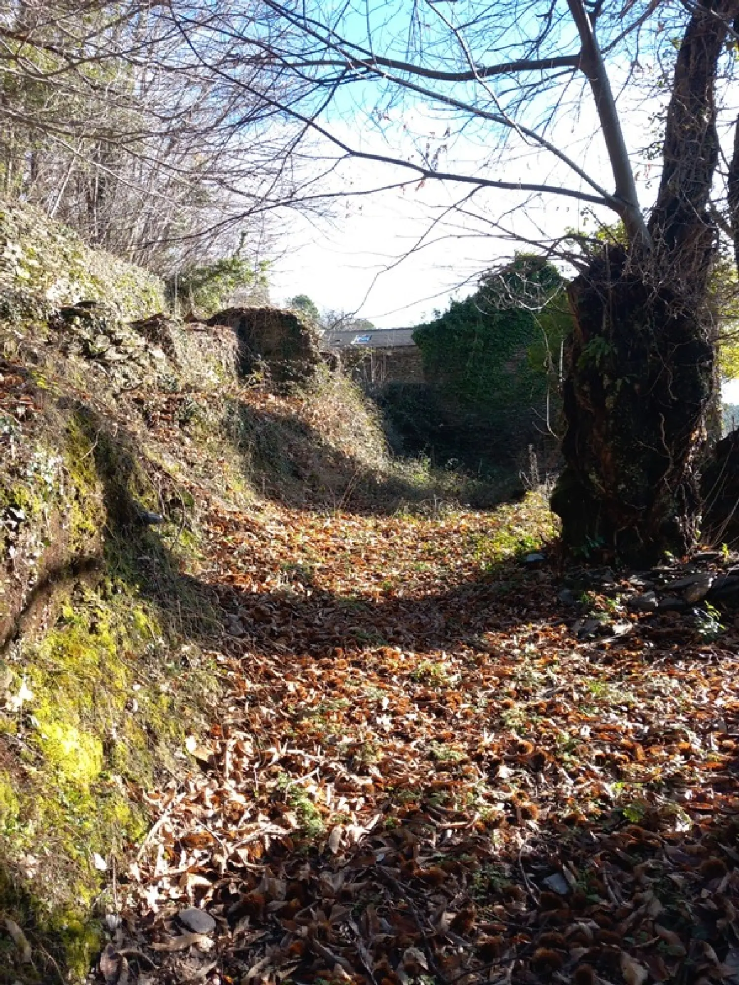  à vendre terrain Saint-Étienne-Vallée-Française Lozère 8