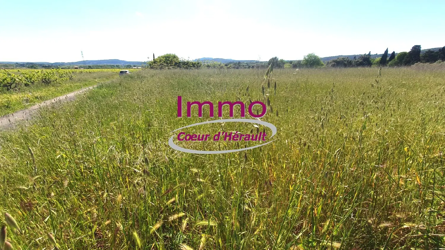  à vendre terrain Saint-Félix-de-Lodez Hérault 1