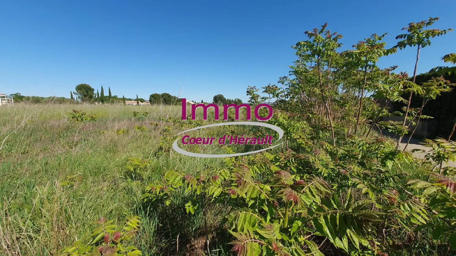  à vendre terrain Saint-Félix-de-Lodez Hérault 2
