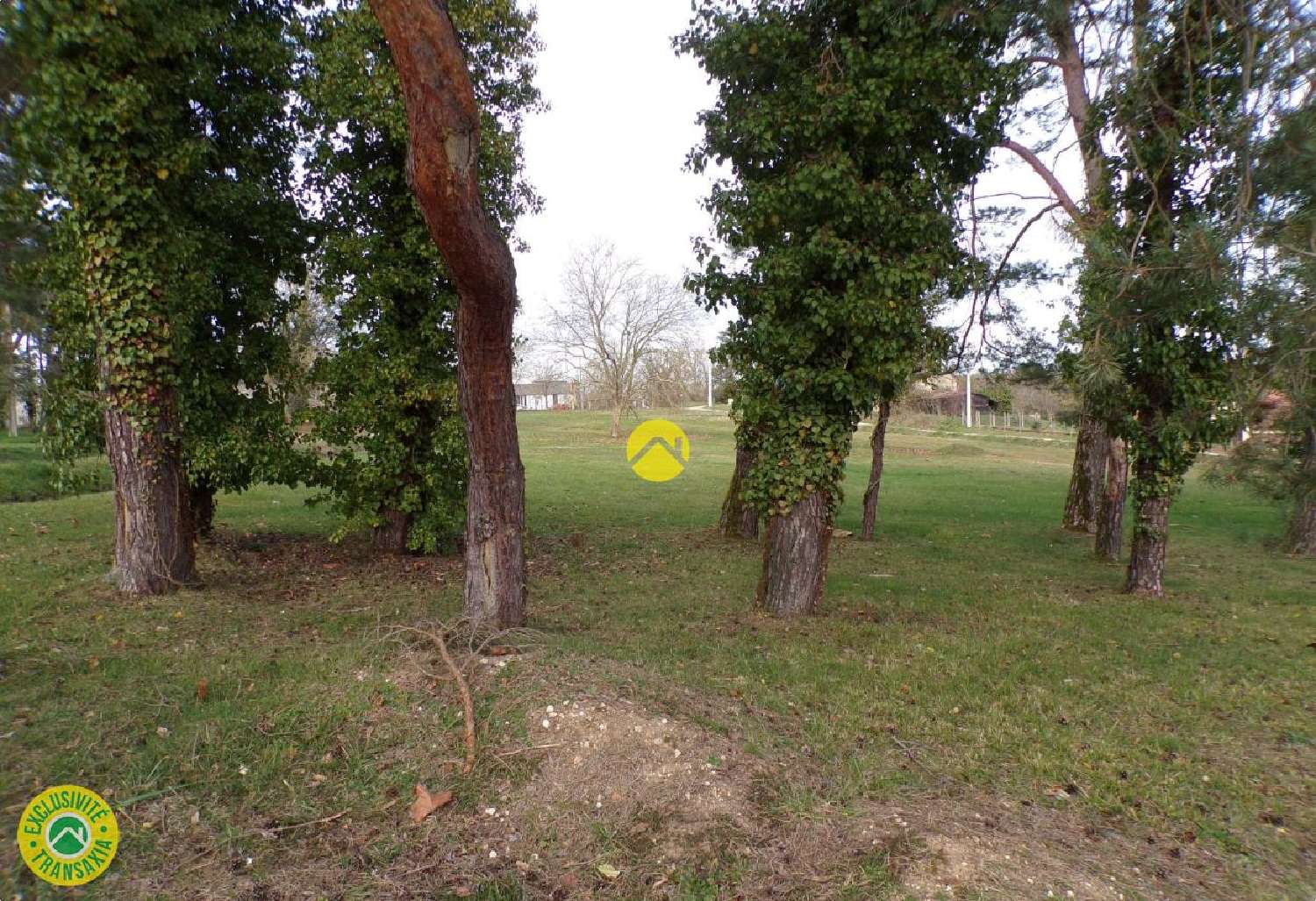  for sale terrain Saint-Florent-sur-Cher Cher 2