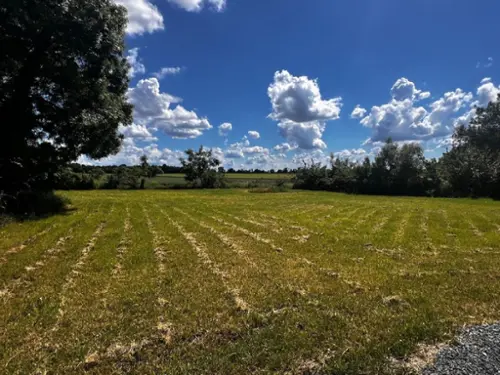 Saint-Georges-du-Bois Charente-Maritime terrain foto 7101373