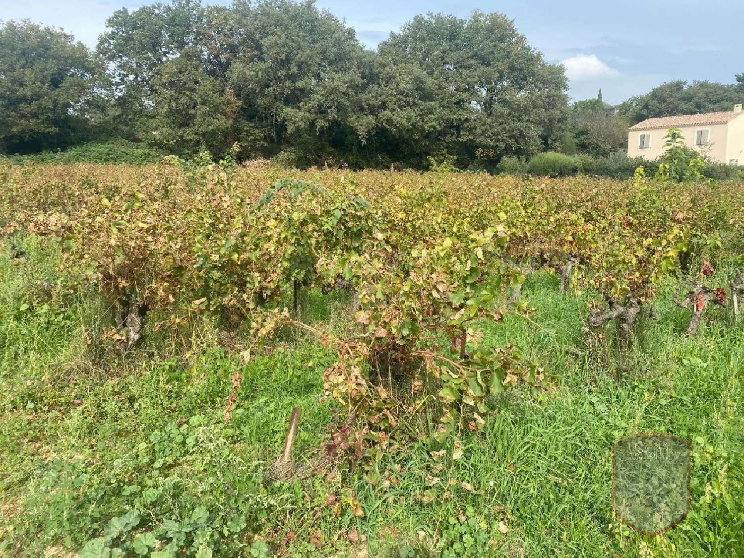  te koop terrein Saint-Laurent-des-Arbres Gard 1