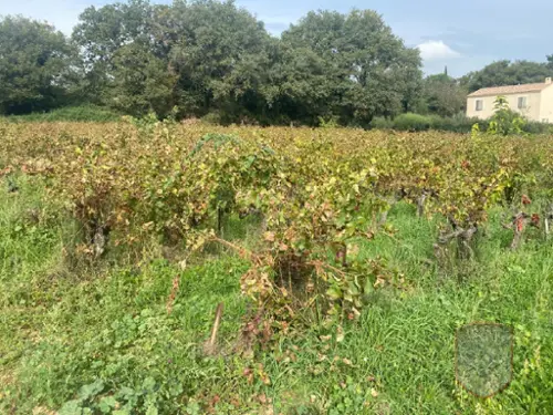 Saint-Laurent-des-Arbres Gard terrein foto 7103164