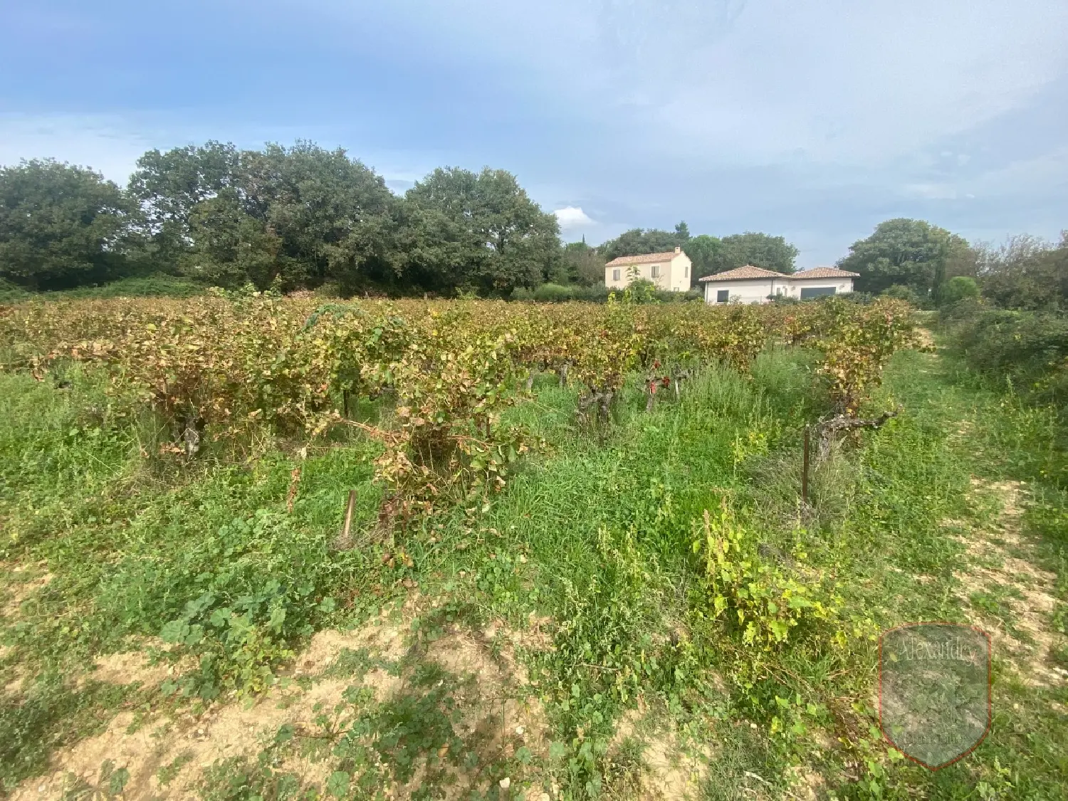  te koop terrein Saint-Laurent-des-Arbres Gard 2