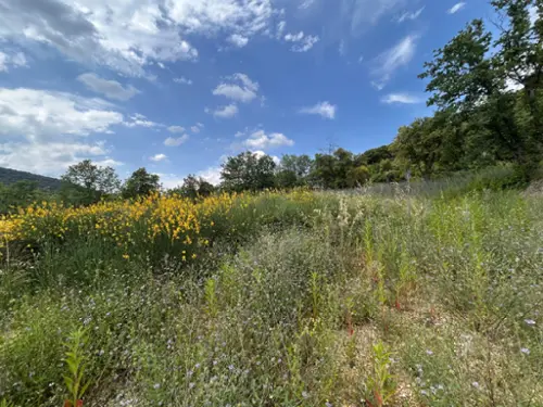 Saint-Martin-d'Ardèche Ardeche terrein foto 7095453