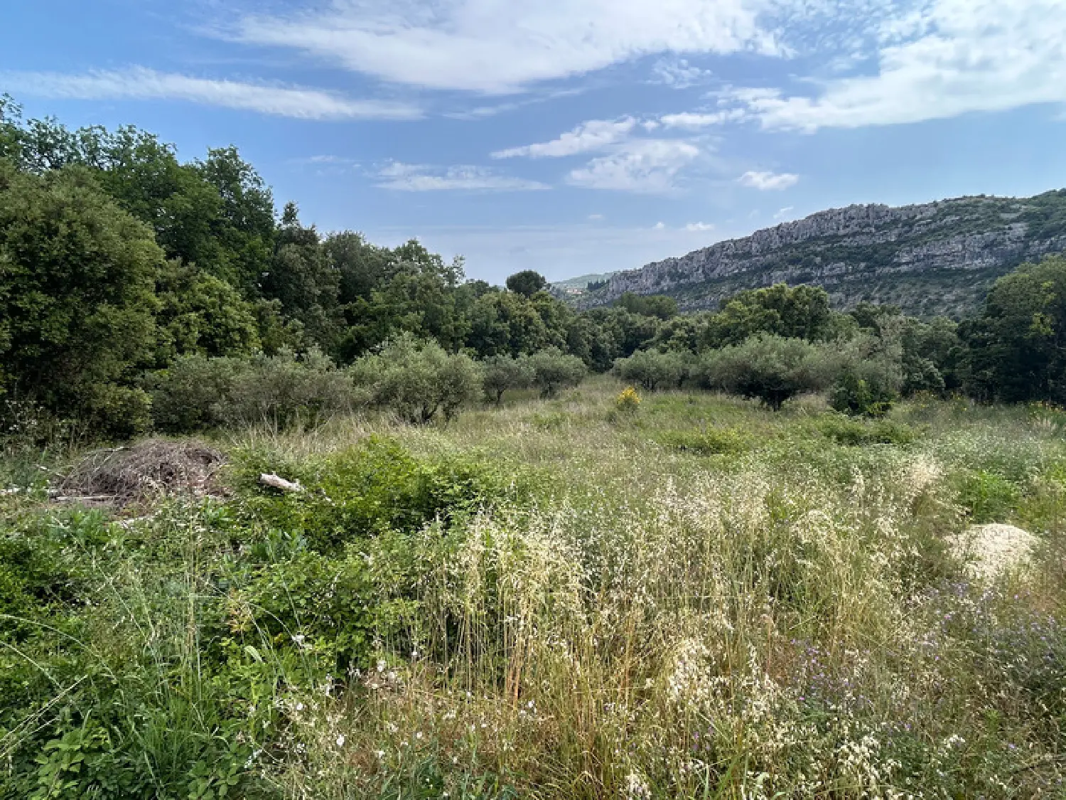  kaufen Grundstück Saint-Martin-d'Ardèche Ardèche 2
