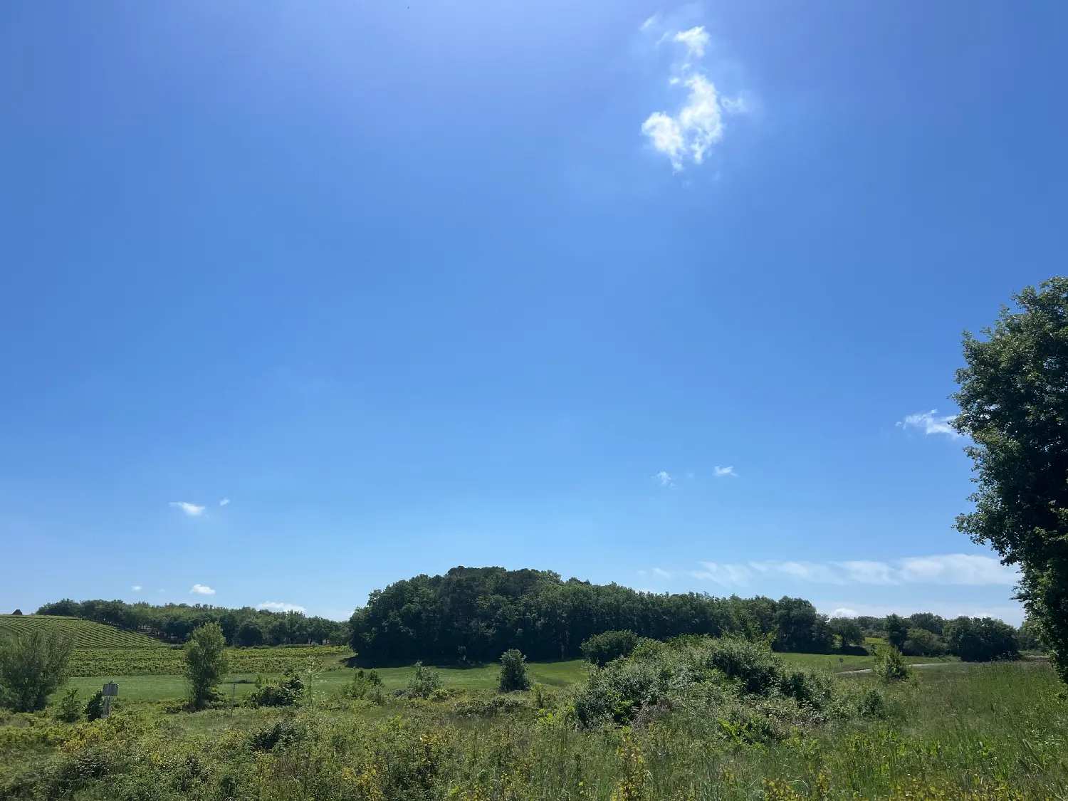  à vendre terrain Saint-Maurice-de-Cazevieille Gard 4