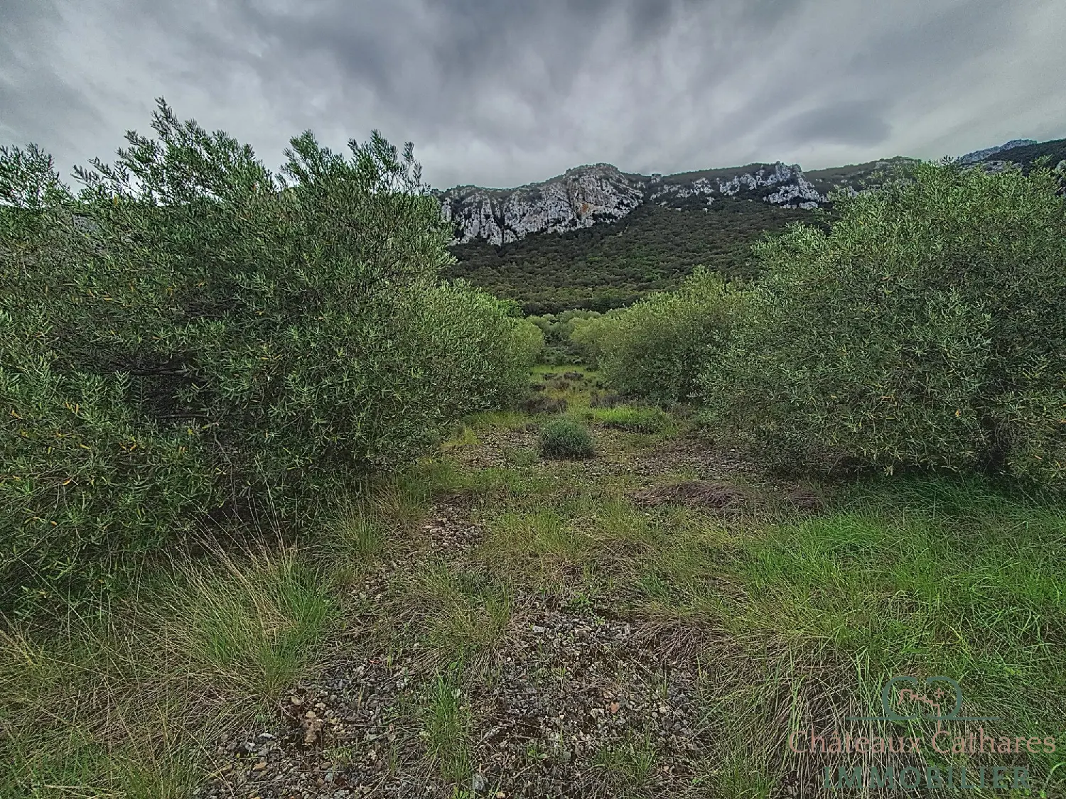 te koop terrein Saint Paul de Fenouillet Pyrénées-Orientales 2