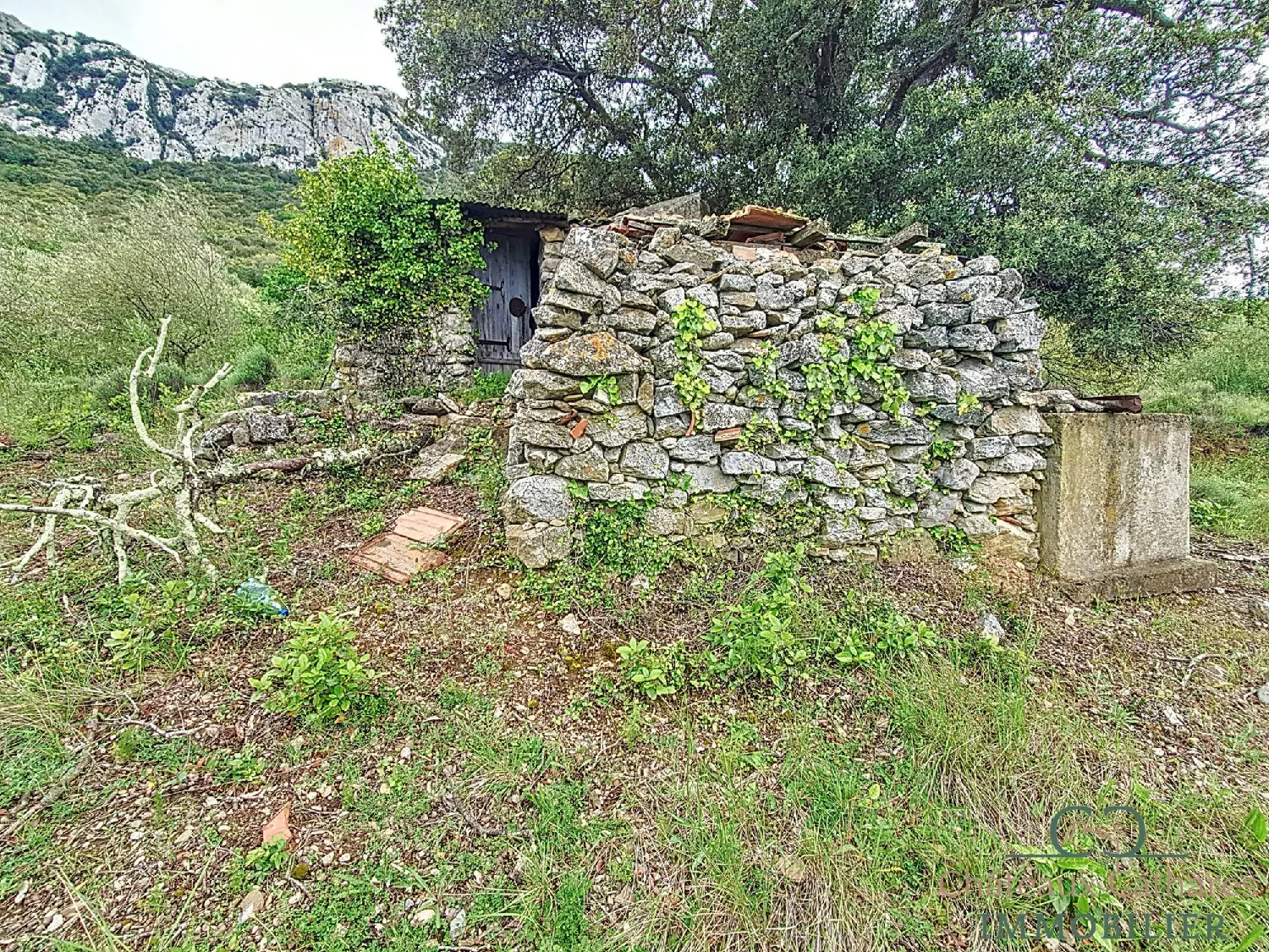  te koop terrein Saint Paul de Fenouillet Pyrénées-Orientales 3