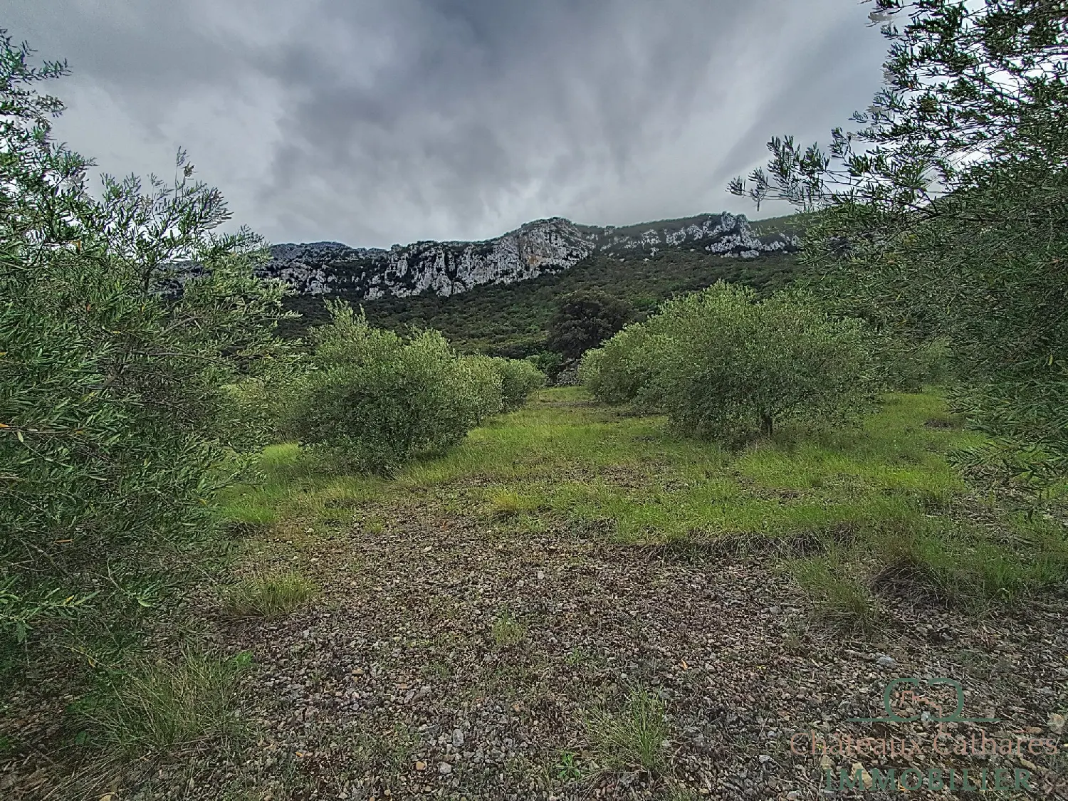  te koop terrein Saint Paul de Fenouillet Pyrénées-Orientales 4