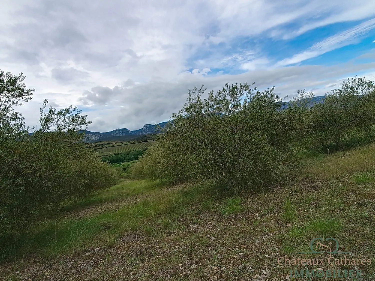  te koop terrein Saint Paul de Fenouillet Pyrénées-Orientales 5