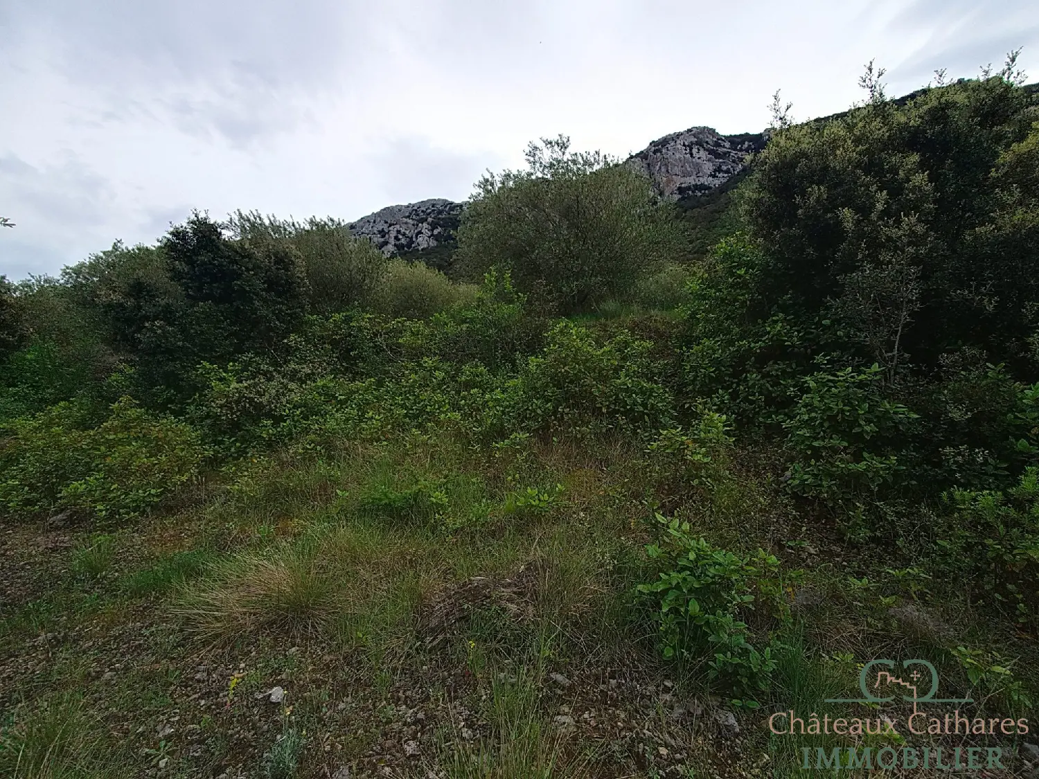  te koop terrein Saint Paul de Fenouillet Pyrénées-Orientales 6