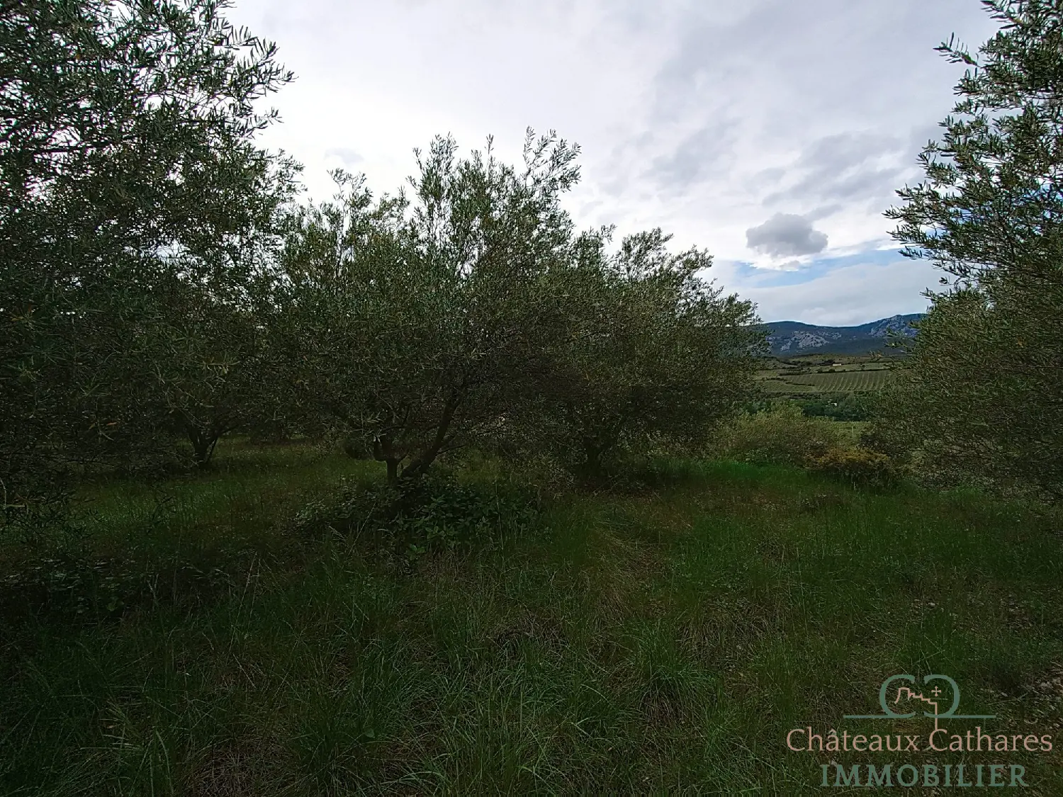  te koop terrein Saint Paul de Fenouillet Pyrénées-Orientales 8