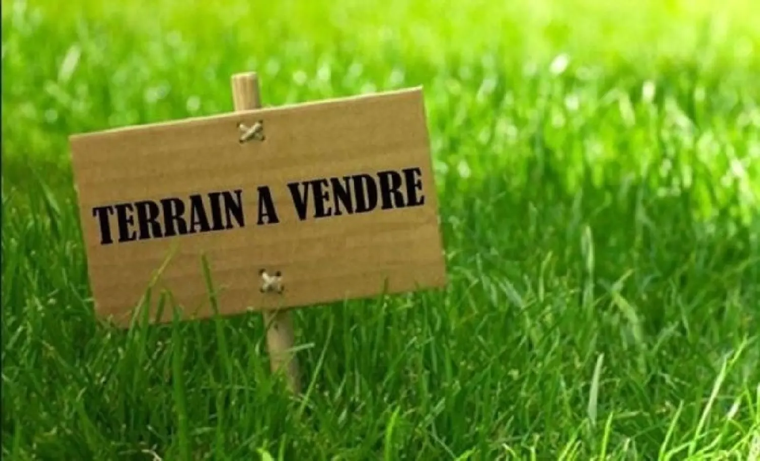  à vendre terrain Saint-Paul-Trois-Châteaux Drôme 3