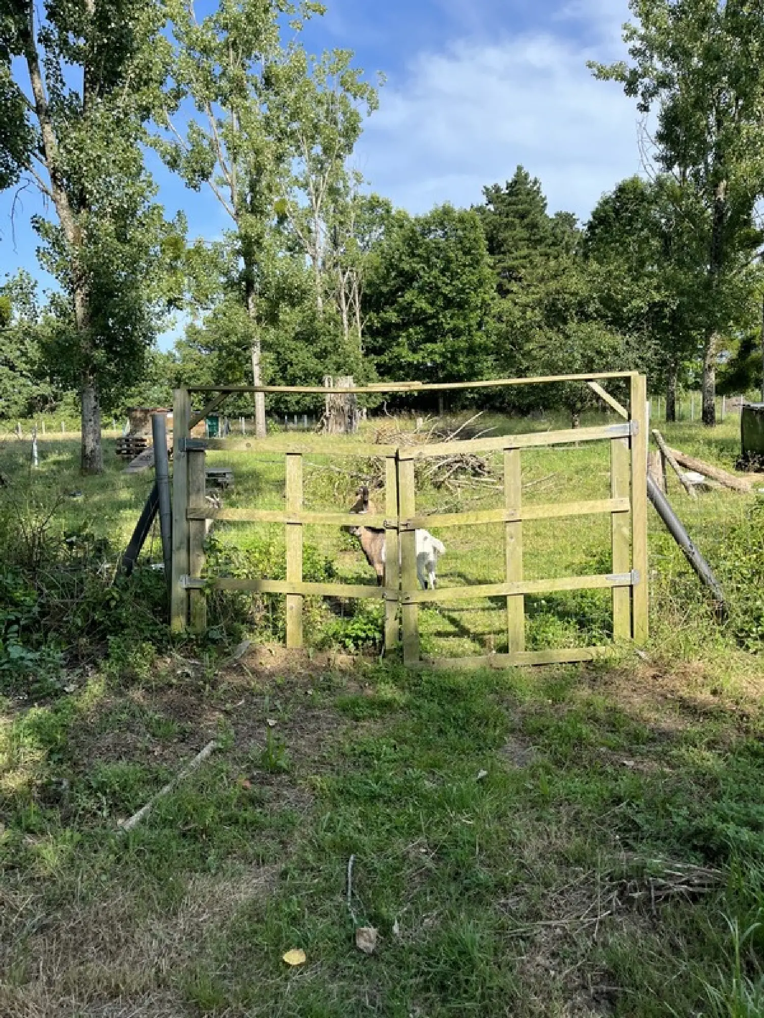  kaufen Grundstück Saint-Philbert-de-Grand-Lieu Loire-Atlantique 7