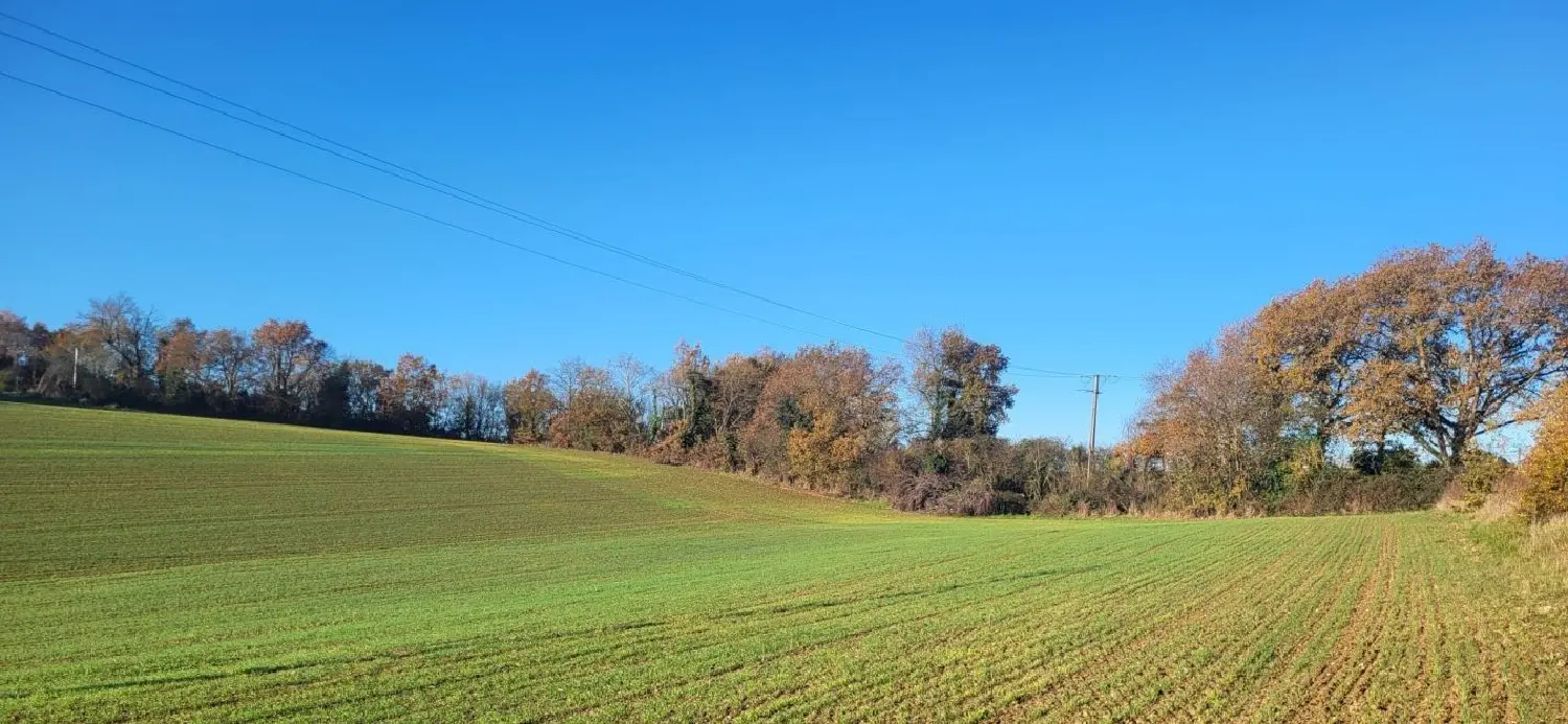  à vendre terrain Saint-Sauvy Gers 1
