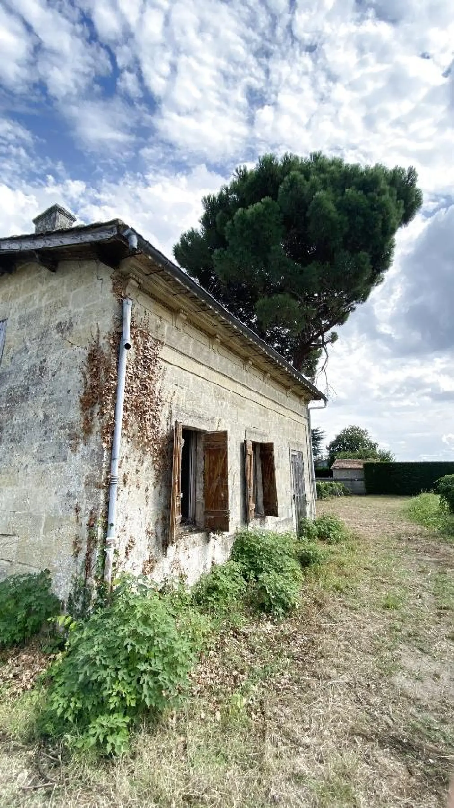  te koop terrein Saint-Sulpice-de-Faleyrens Gironde 3