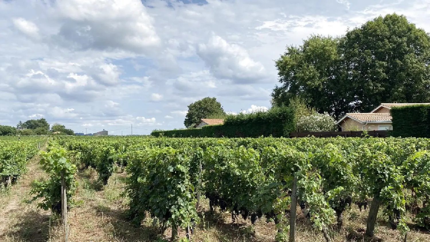  te koop terrein Saint-Sulpice-de-Faleyrens Gironde 4