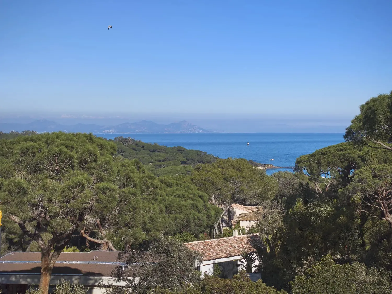  kaufen Grundstück Saint-Tropez Var 1