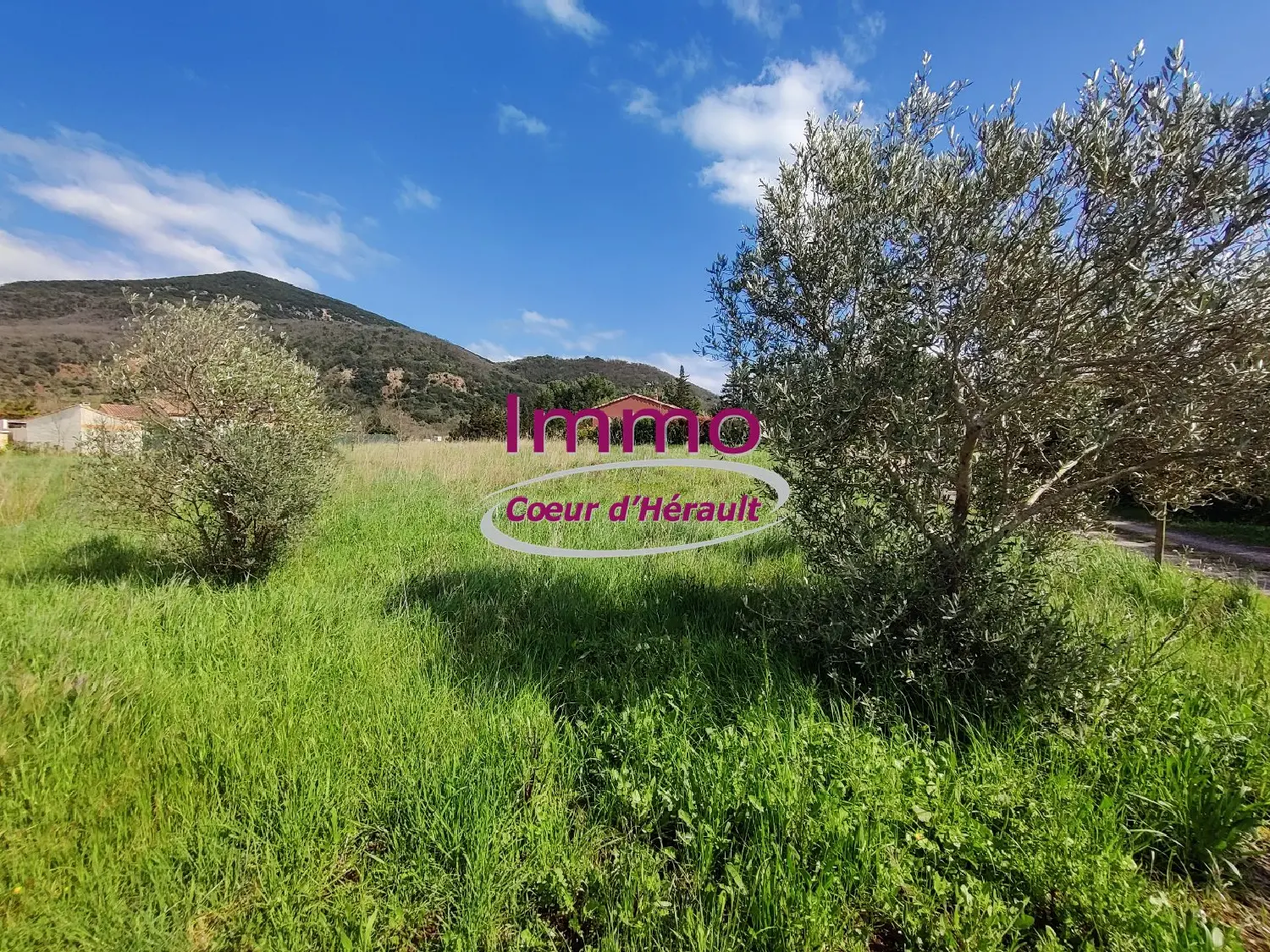  à vendre terrain Salasc Hérault 1