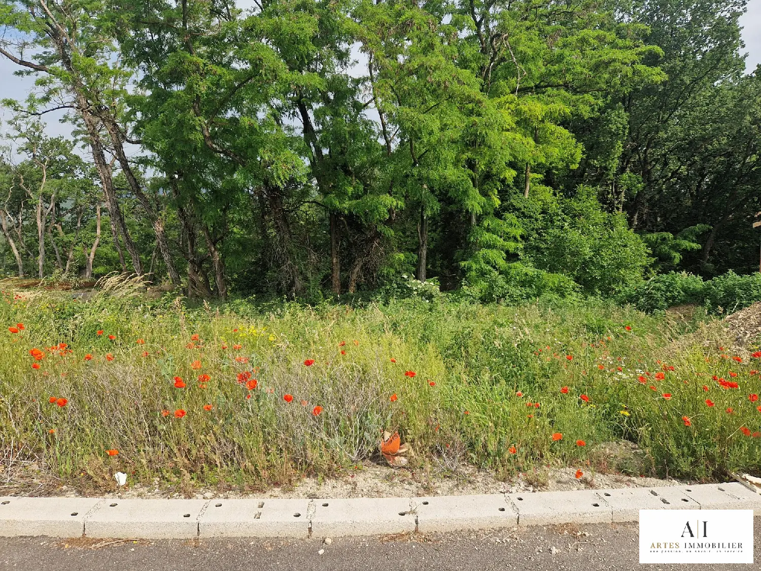  kaufen Grundstück Savasse Drôme 3