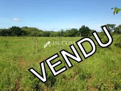 Savenay Loire-Atlantique terreno foto 7096217