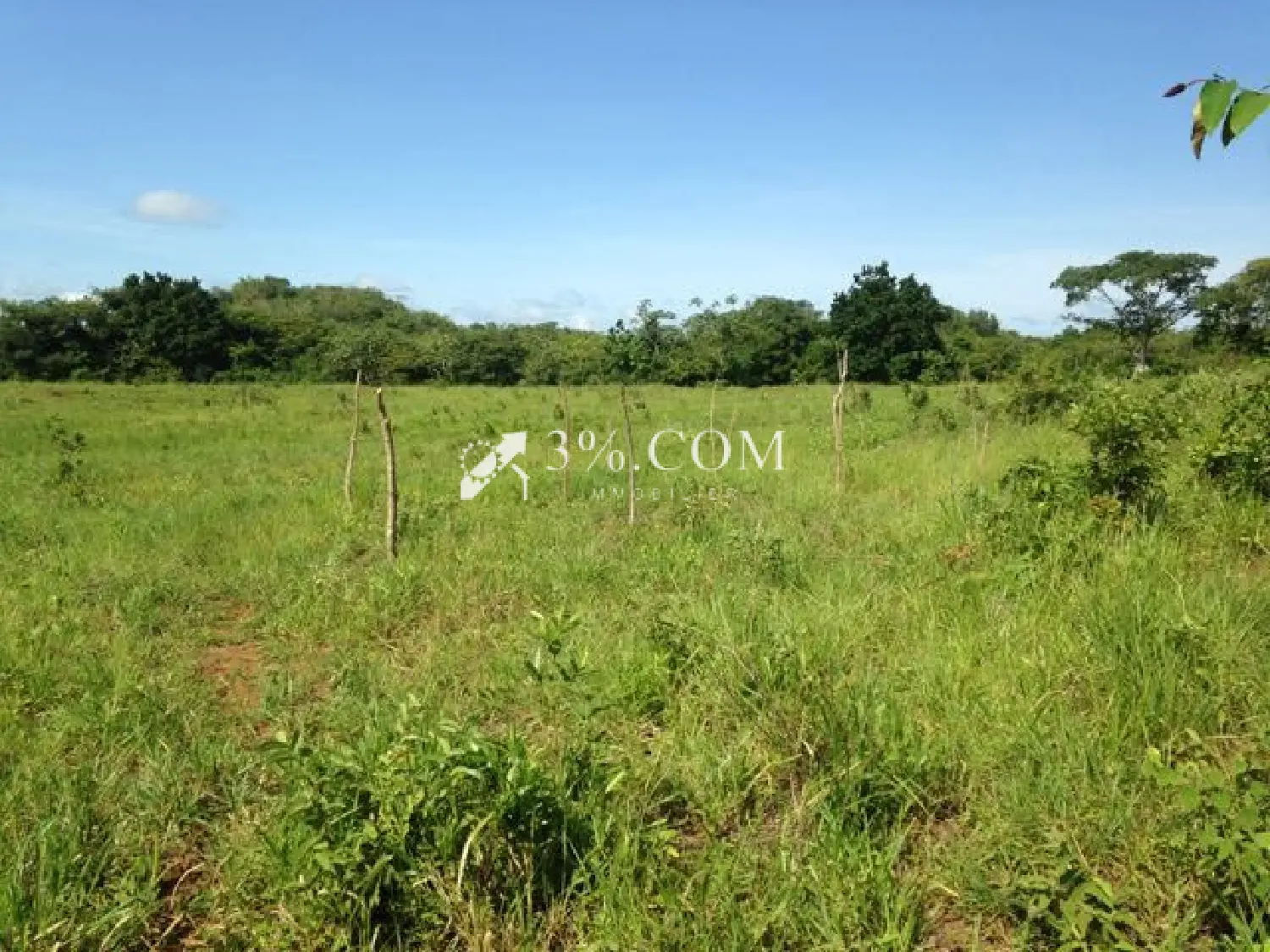  en venta terreno Savenay Loire-Atlantique 3