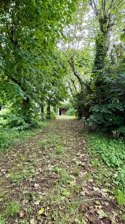 Sorbiers Loire terreno foto 7087749