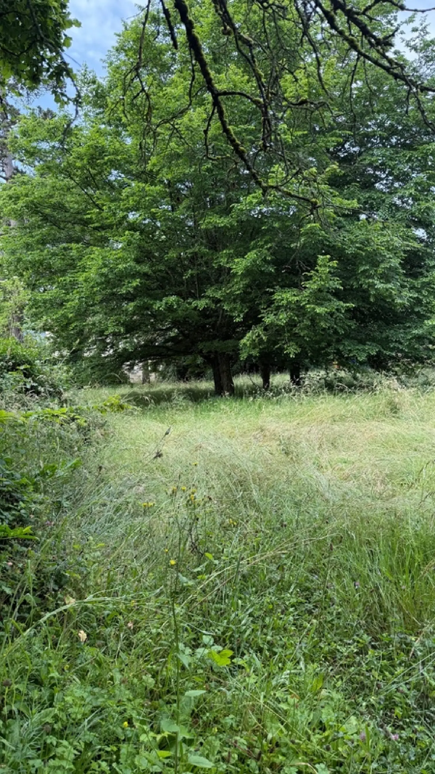  en venta terreno Sorbiers Loire 2