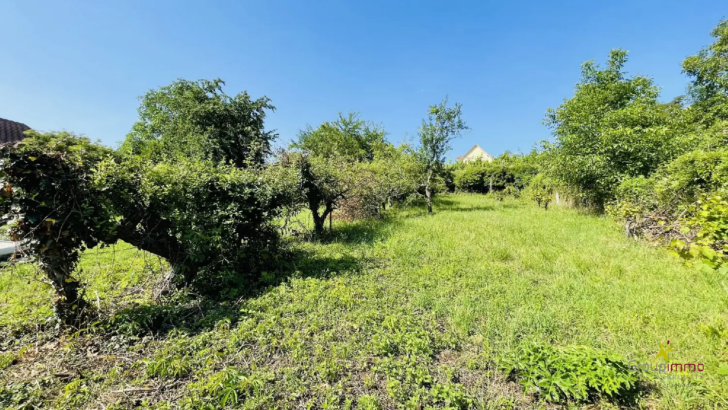 te koop terrein Soultz-les-Bains Bas-Rhin 2