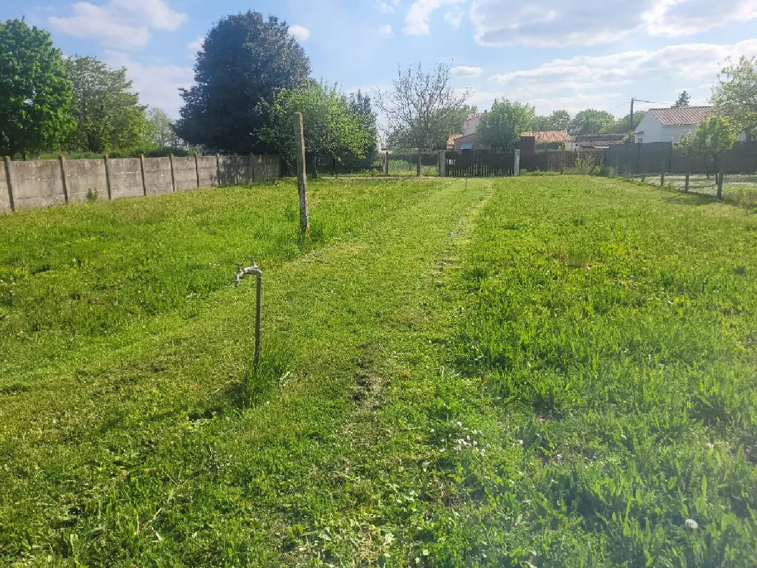  en venta terreno Surgères Charente-Maritime 5