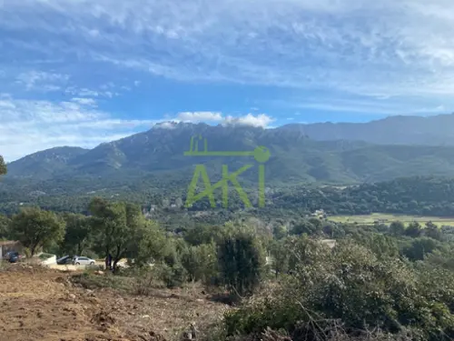 Tavaco Corse-du-Sud terrein foto 7089835