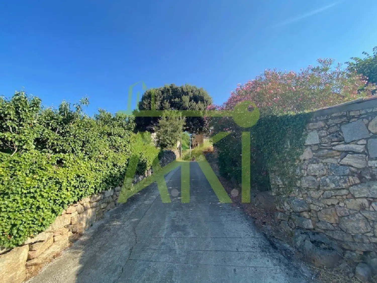  te koop terrein Tavaco Corse-du-Sud 3