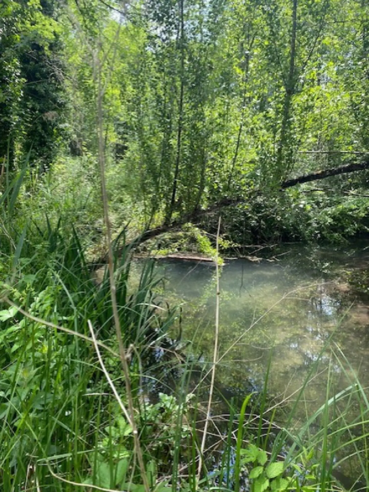  te koop terrein Torsac Charente 4