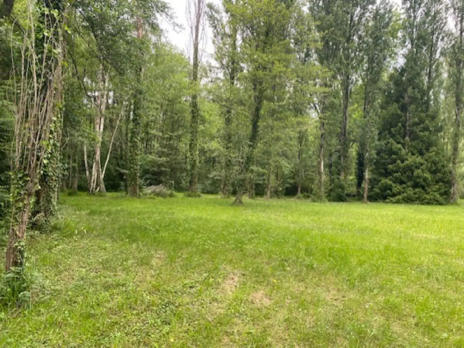 te koop terrein Torsac Charente 5