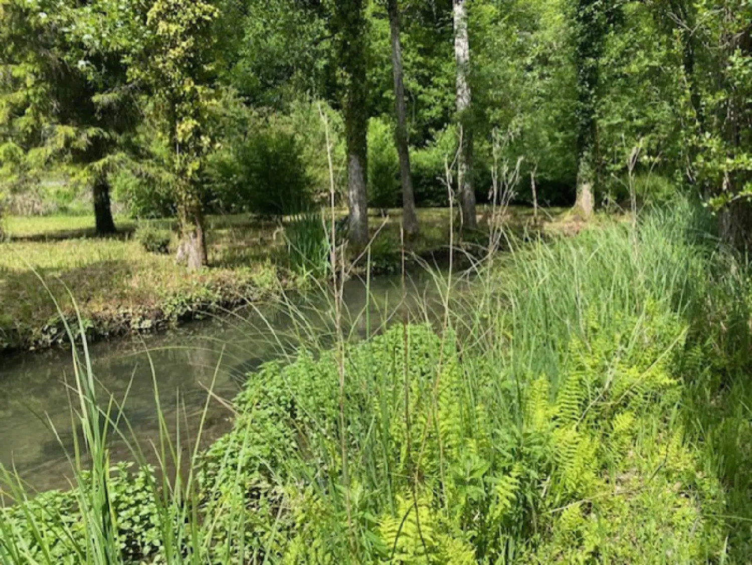  te koop terrein Torsac Charente 6