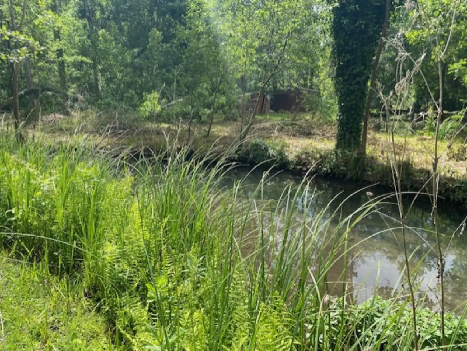  te koop terrein Torsac Charente 7