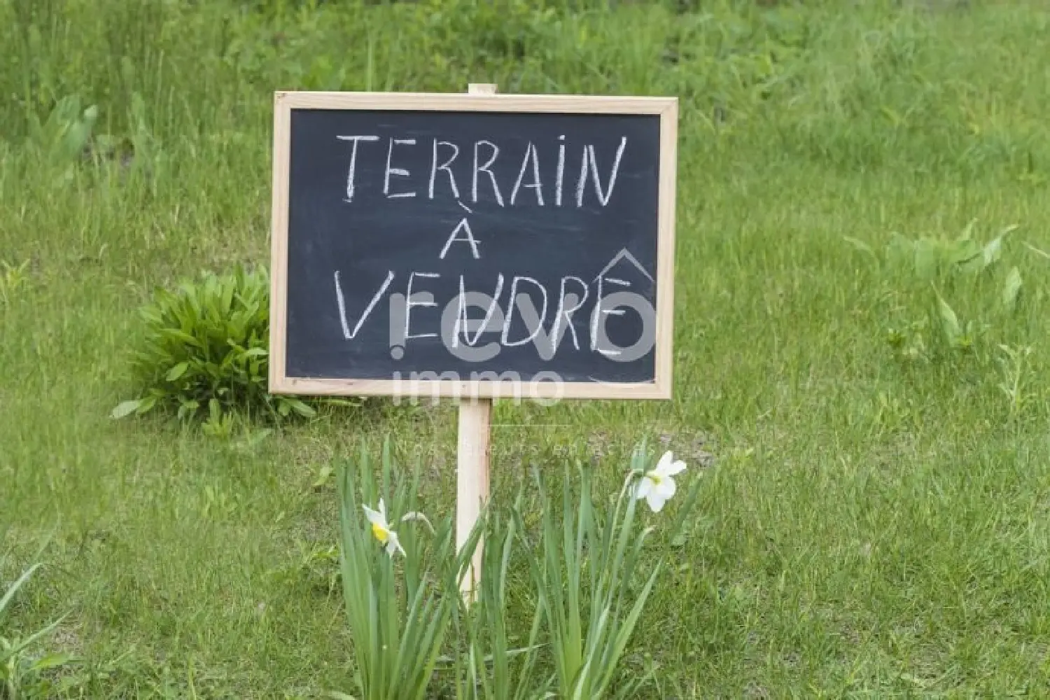  à vendre terrain Touvois Loire-Atlantique 1