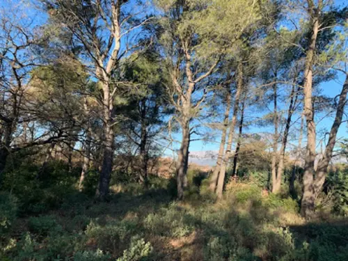 Trets Bouches-du-Rhône terrein foto 7089559