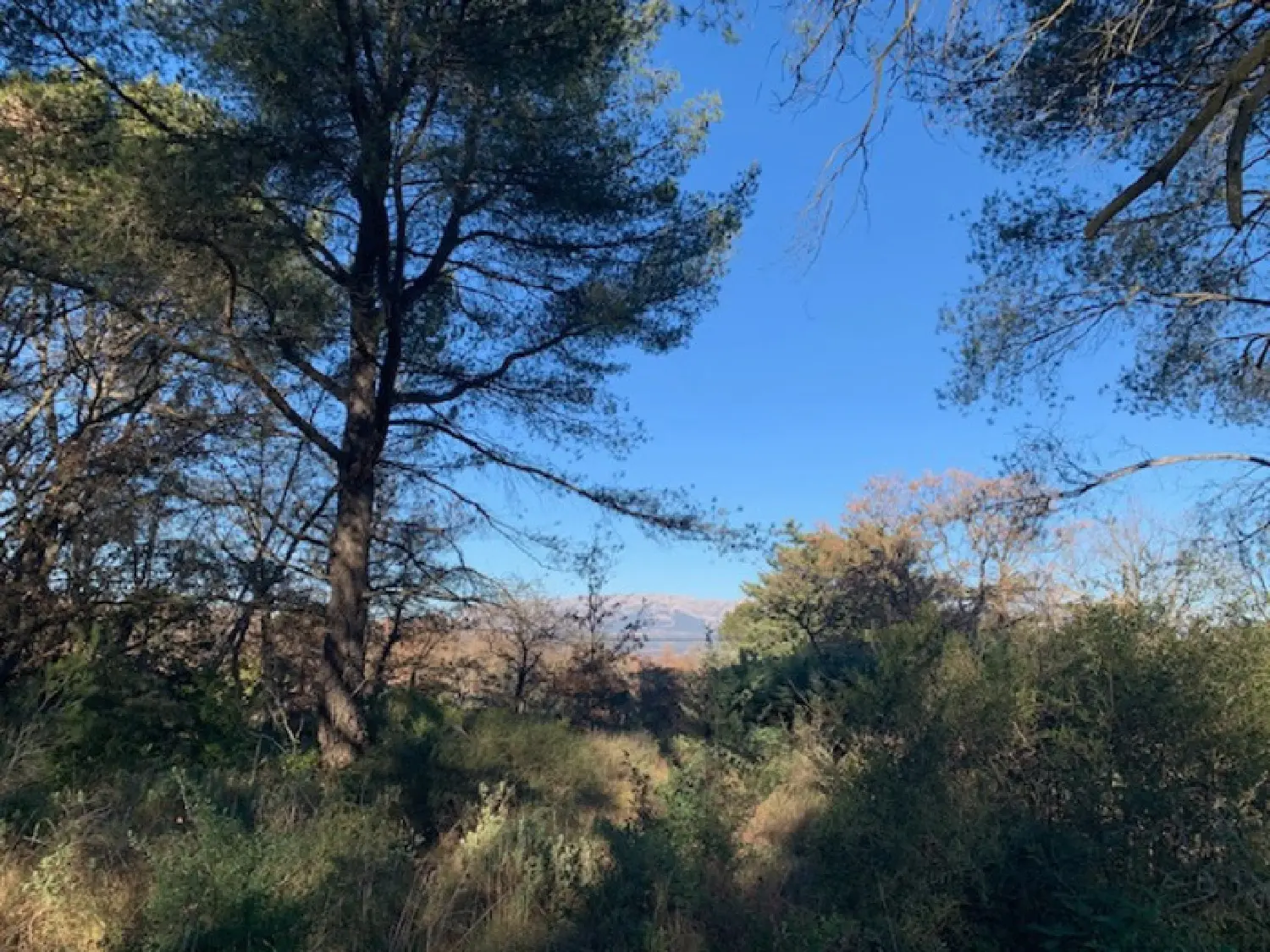  te koop terrein Trets Bouches-du-Rhône 3