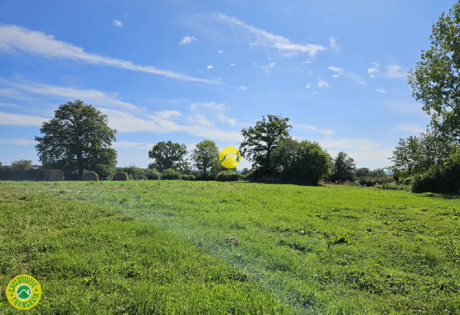  for sale terrain Venas Allier 4