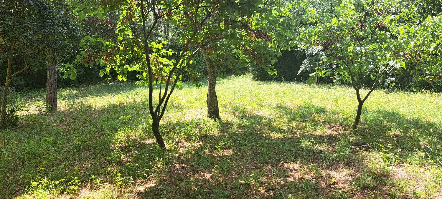  for sale terrain Vias Hérault 5
