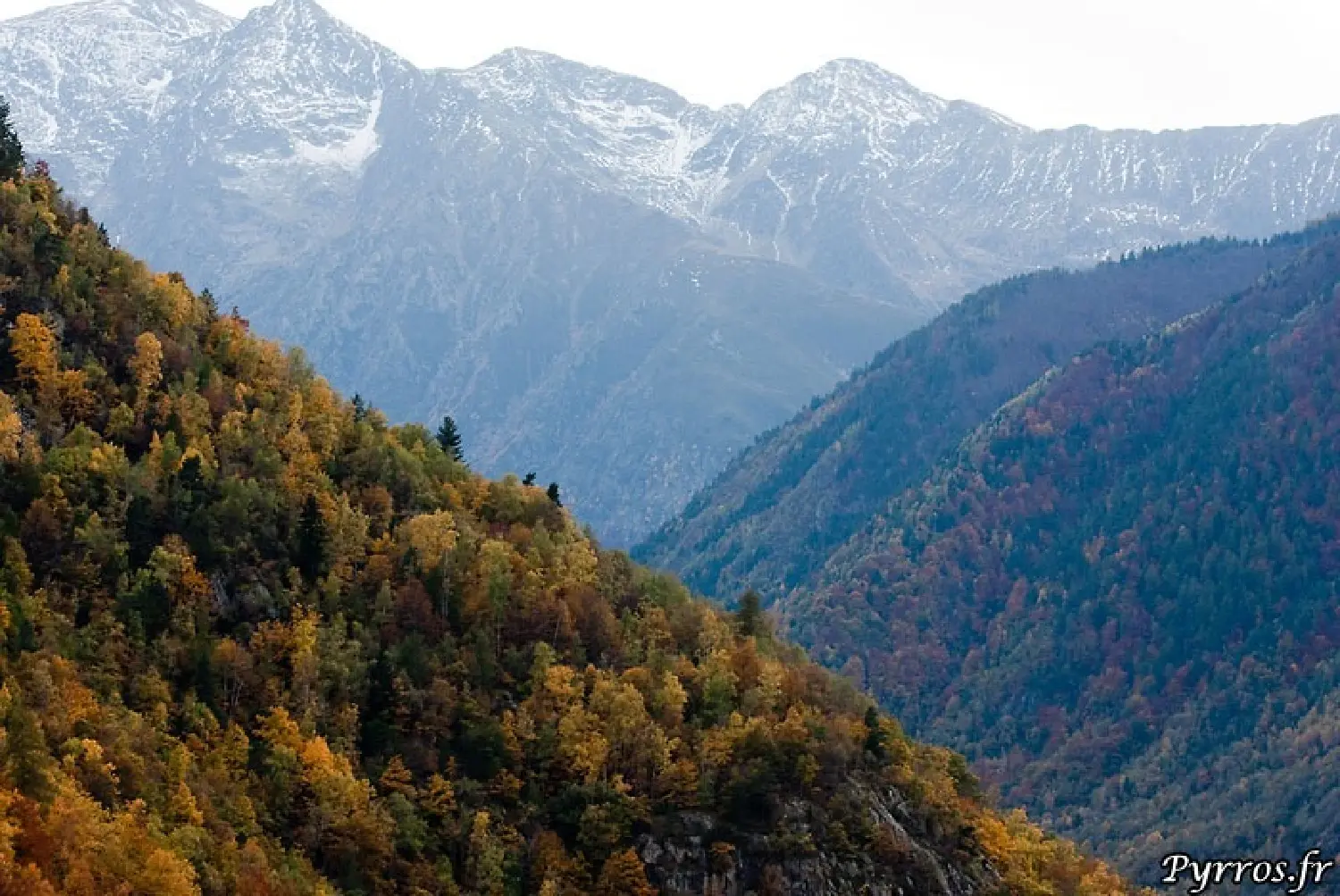  te koop terrein Vicdessos Ariège 3