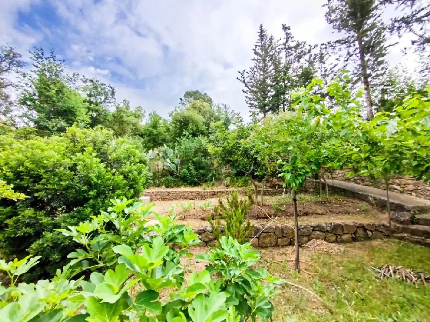 en venta terreno Vidauban Var 2