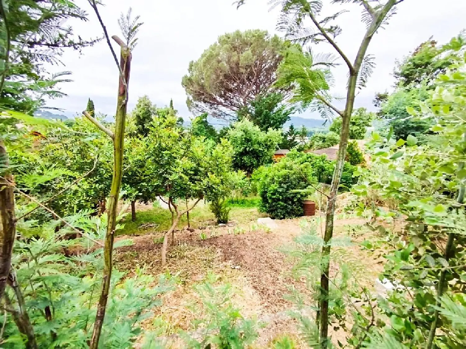en venta terreno Vidauban Var 3