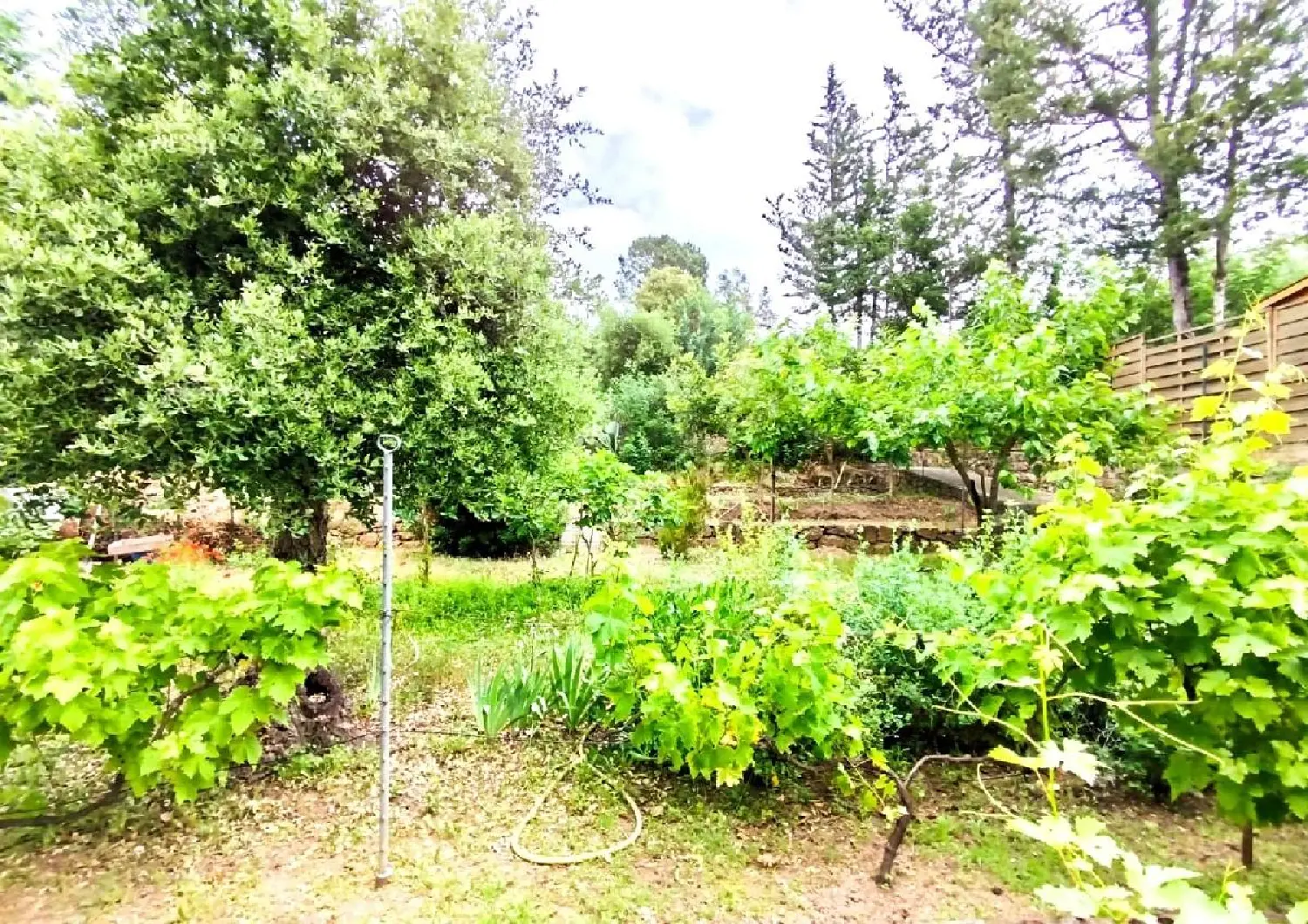  te koop terrein Vidauban Var 4