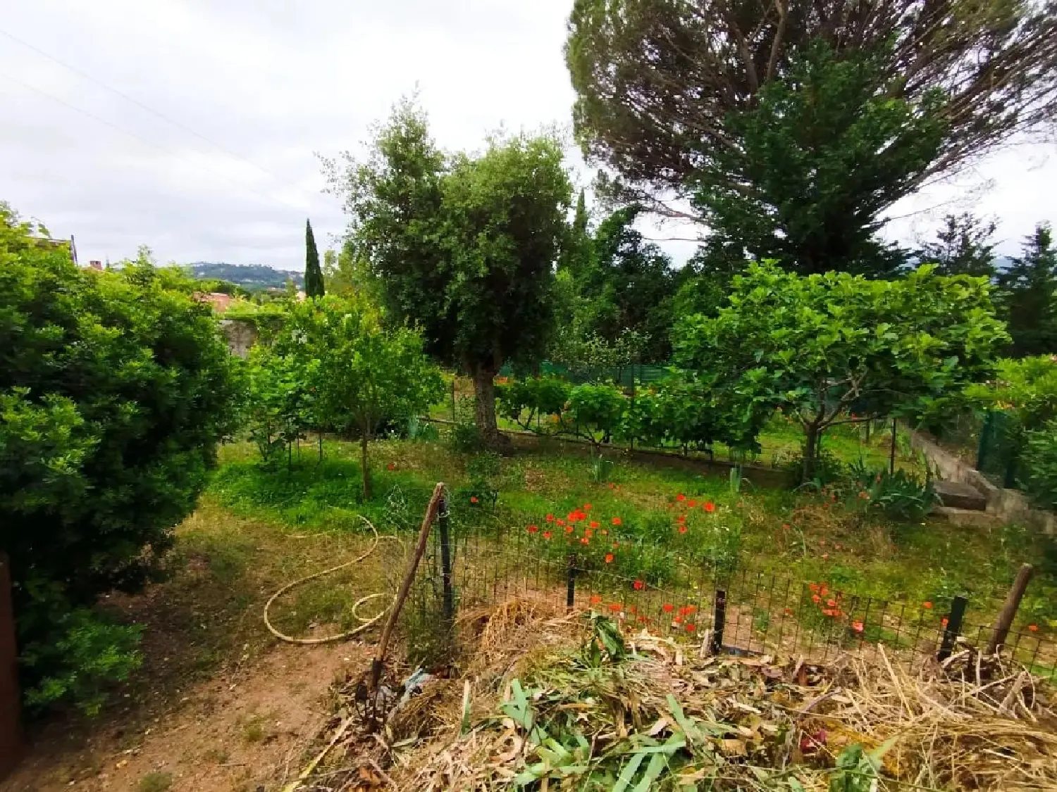  te koop terrein Vidauban Var 5