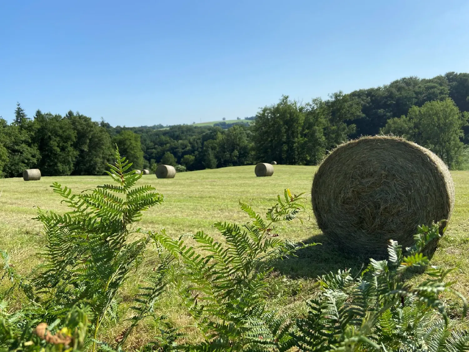  for sale terrain Vigeois Corrèze 1